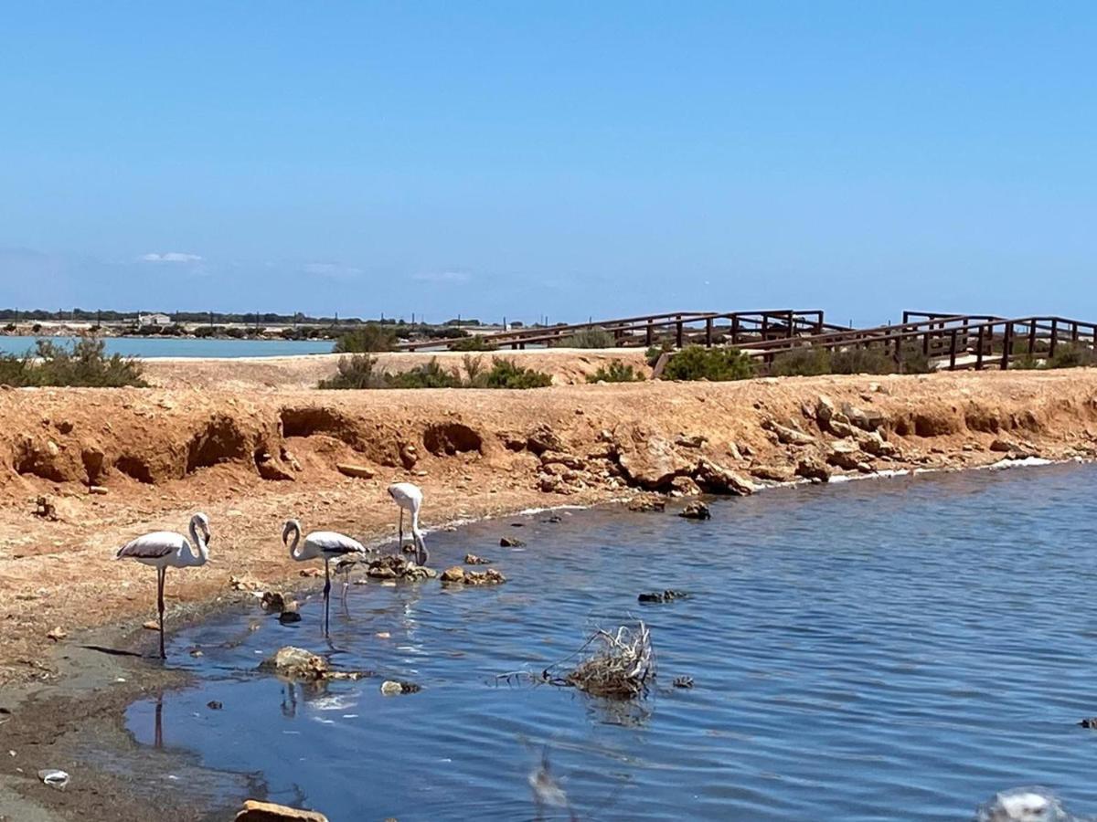 Bianca Beach 222 - Mil Palmeras, Vista Piscina Y Mar Torre de la Horadada Eksteriør billede